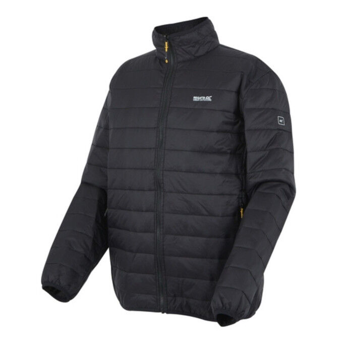 Veste 3 en 1 Homme REGATTA Wentwood