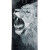 Raven Lion Snowboard + Bindings Pack – Performance, Stability, and Progression