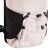 Rucksack Escaper Active 8L – Flüssigkeitsversorgung & Komfort beim Skifahren, Snowboarden und Wandern