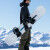 Nidecker Escape snowboard pack – versatile all-mountain board