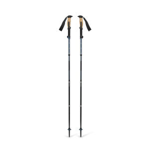 Black Diamond Trail Vista FLZ poles: lightweight and practical for hiking