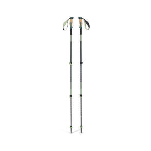 Bâtons trekking Black Diamond Trail Vista Shock : confort et performance