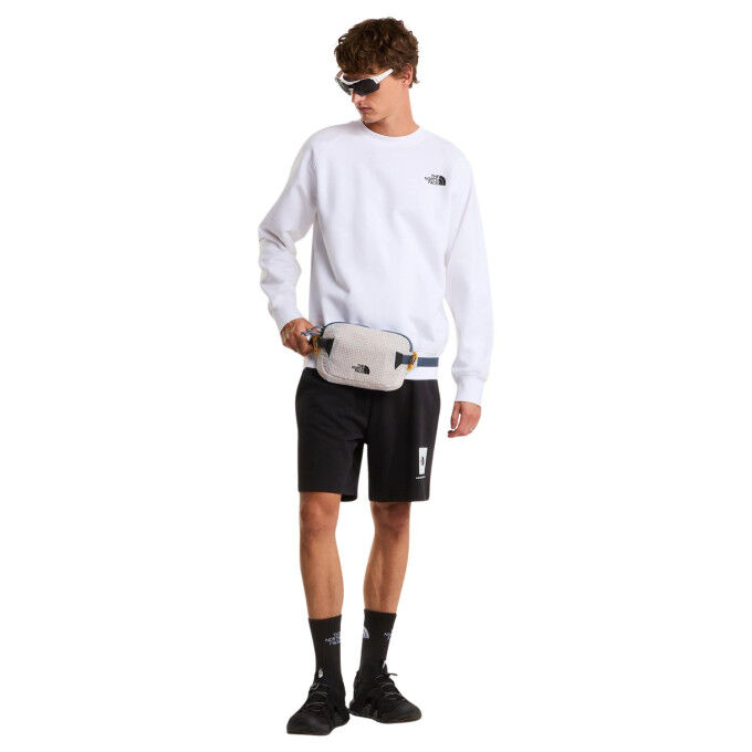 The North Face NSE Box Light Regular : short décontracté pour le quotidien