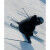 Salomon S/PRO ALPHA C BOA 120 Schwarz – Performance-Skischuhe