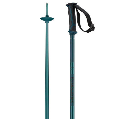 Salomon BATONS ARCTIC bleu