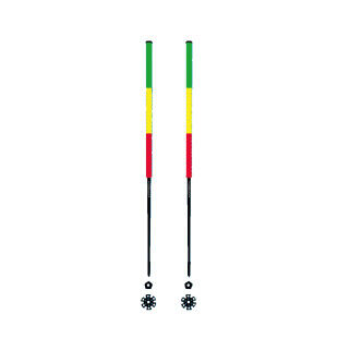 RASTA ski poles Alain's poles