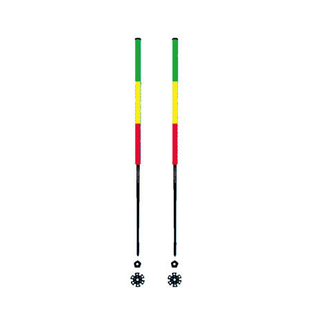 Bâtons de ski RASTA Les bâtons d'Alain