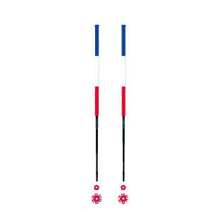 Ski poles FRANCE Alain's Poles