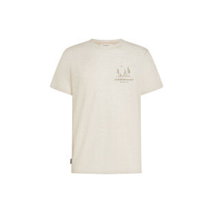 Icebreaker M M 150 Tech Lite Peaceful Pass Men's: comfort and performance for all four seasons