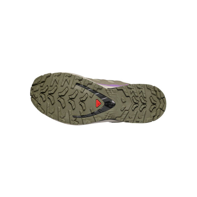 Trailschuhe für Damen SALOMON XA PRO 3D V9 GTX – BOG/ALOE/CONCOG