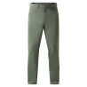 CHLOROPHYLL GREEN