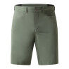 CHLOROPHYLL GREEN