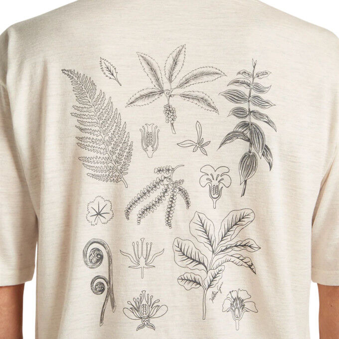 Icebreaker 150 Tech Lite Fern Study: vielseitiges Merino-T-Shirt für Herren