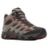 TALUS/EMBER