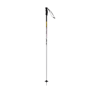 Bâtons de ski Rossignol ELECTRA SVG