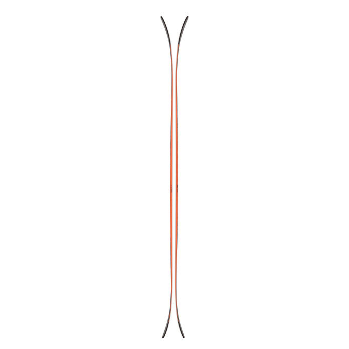 Skis Blizzard CANVAS 100