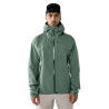 CHLOROPHYLL GREEN