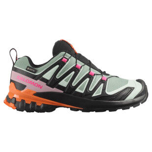 Scarpe da trail Salomon XA PRO 3D V9 GTX ICON W