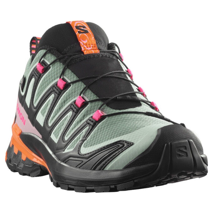 Scarpe da trail Salomon XA PRO 3D V9 GTX ICON W