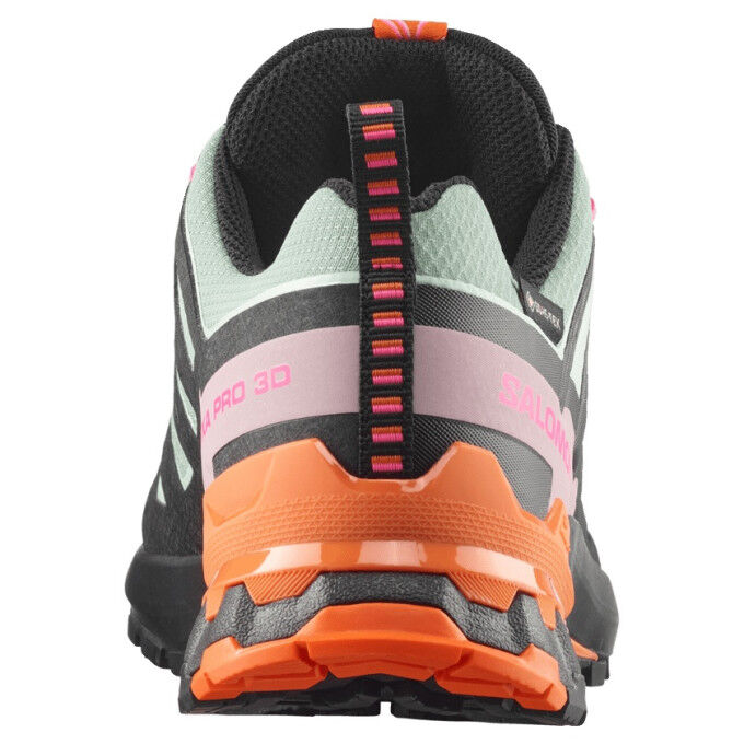 Zapatillas de trail Salomon XA PRO 3D V9 GTX ICON W