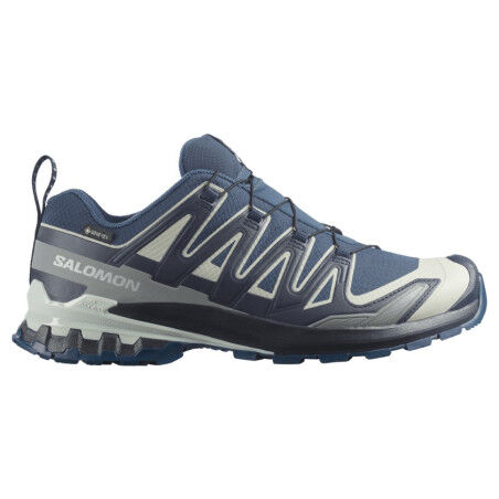 Zapatillas de trail running Salomon XA PRO 3D V9 GTX