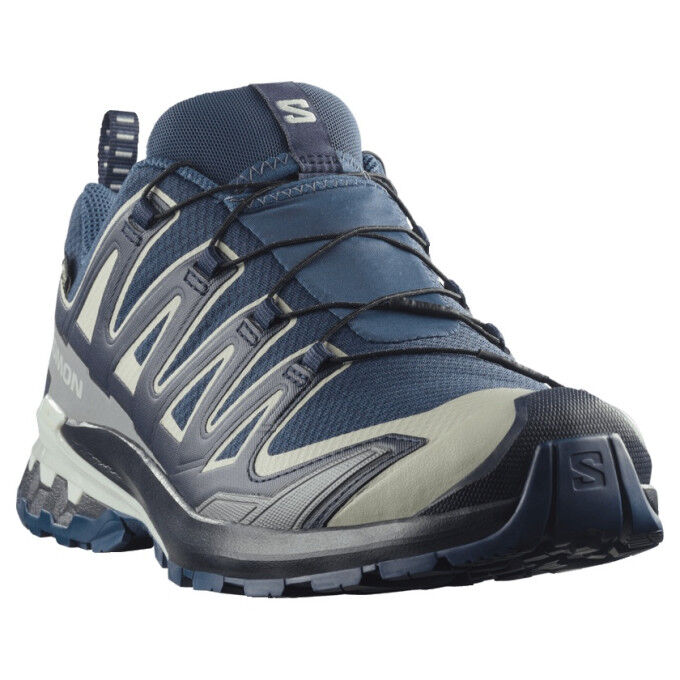 Salomon XA PRO 3D V9 GTX Trail Running Shoes