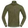 DEEP LICHEN GREEN