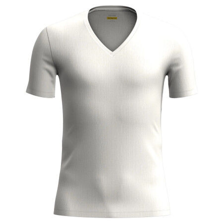 Maglietta Icebreaker M ANATOMICA SS V