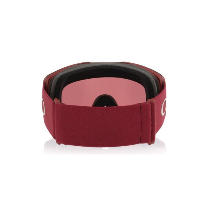 Oakley Fall Line L Ski Goggles