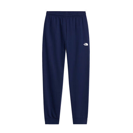 The North Face Herren-Jogginghose „Evolution Simple Dome REG“