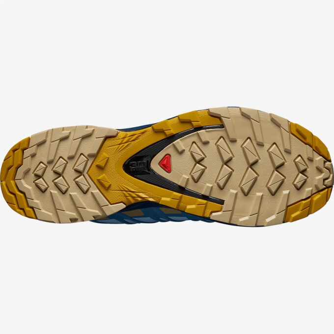 Hiking shoes Salomon XA PRO 3D v8 GTX W Kentucky Blue/