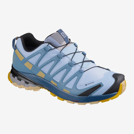Hiking shoes Salomon XA PRO 3D v8 GTX W Kentucky Blue/