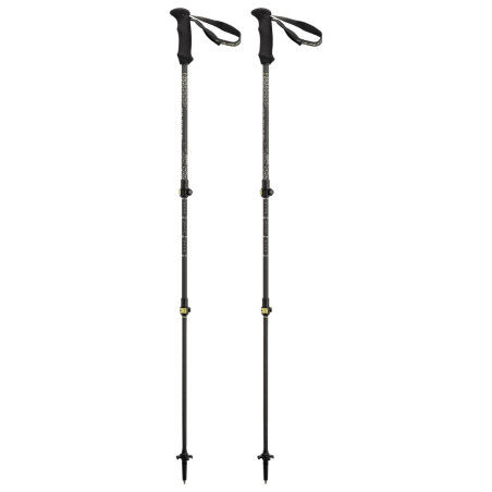 Bâtons Camp BACKCOUNTRY CARBON 2.0