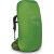 Osprey AETHER 55 Garlic Mustard Green Backpack