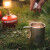 Tasse Primus 4 saisons
