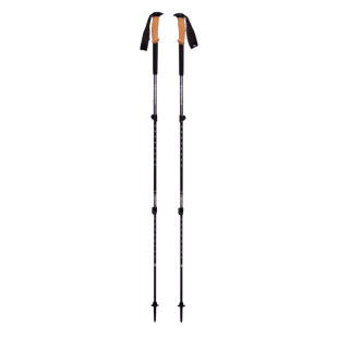 Bâtons Black Diamond TRAIL CORK TREKKING POLES Granite