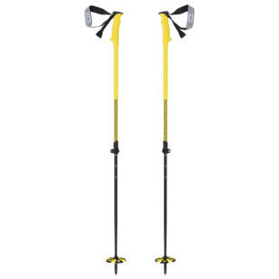 Zag NORTH VARIO poles