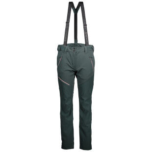 Pantalon Scott W'S EXPLOIRAIR ASCENT HYBRID Tree Green
