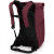 Osprey ARCHEON 25 Mud Red Backpack