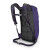 Osprey DAYLITE CINCH PACK Dream Purple backpack