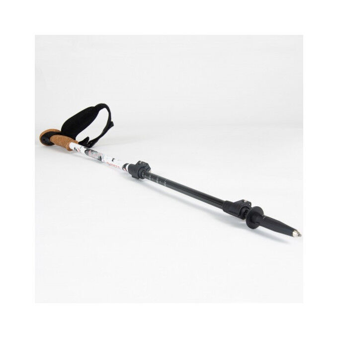 Guidetti GR20 poles Guidetti GR20 poles