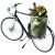 Sac vélo Deuter MAINHATTAN 17+10 Khaki-Clay
