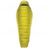 Unicolor