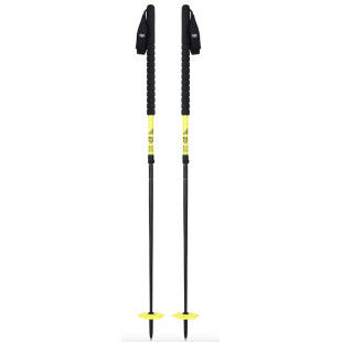 Black Crows DUOS FREEBIRD poles
