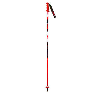 VOLA SL SKI POLE JUNIOR bastones de esquí
