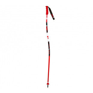GS SKI POLE JUNIOR