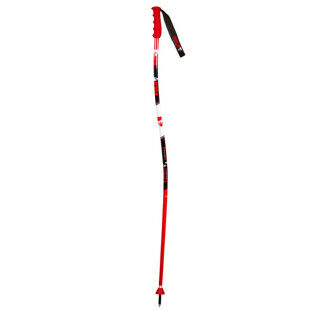 Bastones Vola GS SKI POLE SENIOR