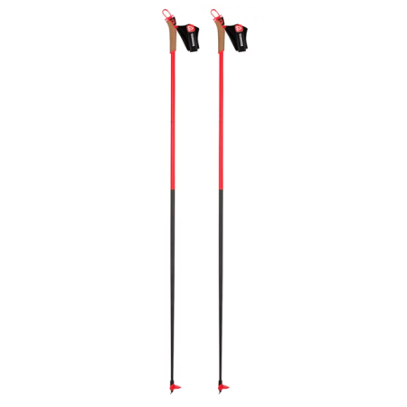 Rossignol FORCE 9 poles