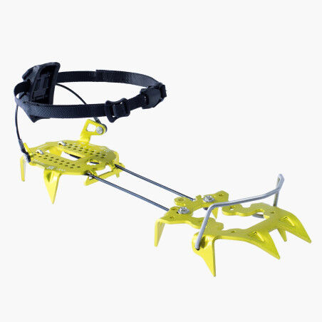 CRAMPONS DNA