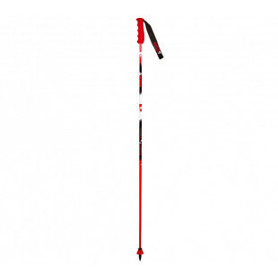 Vola GS CARBON GEANT junior ski poles